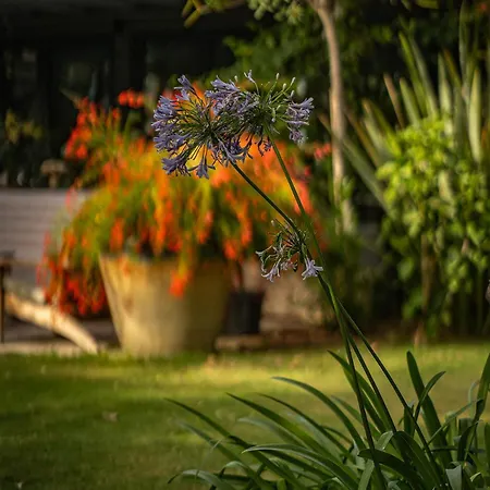 Casa Luna - Adult Only Hotel Alaçatı