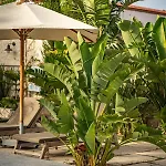 Hotel Casa Luna - Adult Only Alaçatı