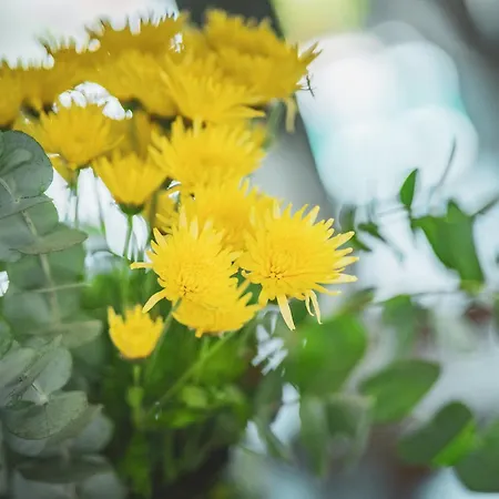 Ξενοδοχείο Casa Luna - Adult Only *