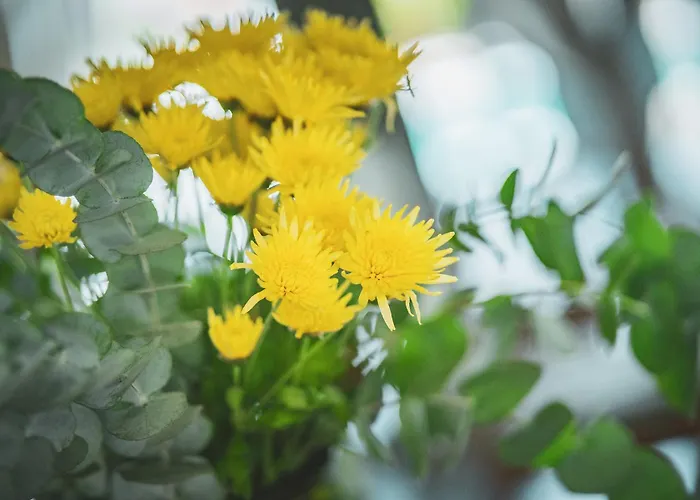 Otel Casa Luna - Adult Only *