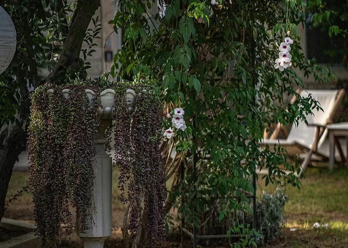 Casa Luna - Adult Only Otel